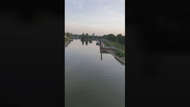 triporxs  17-06-2022
